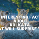 kolkata facts