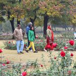 Zakir Hussain Rose Garden