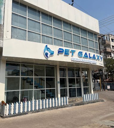 Pet Galaxy