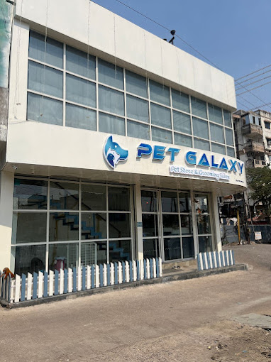 Pet Galaxy
